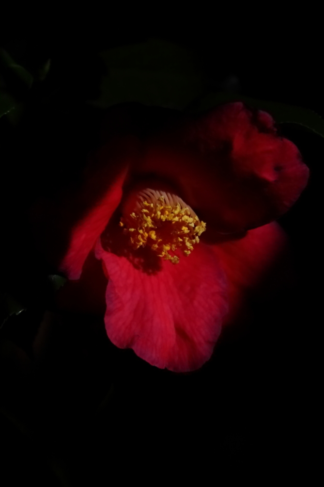 2012 04 13 9999 245